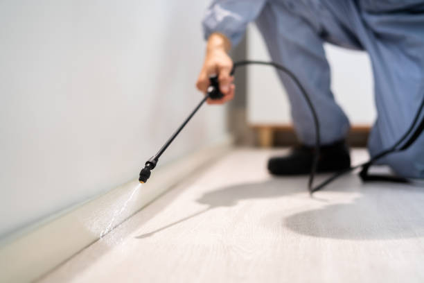 Bed Bug Pre-Treatment Preparation Assessment in Hettinger