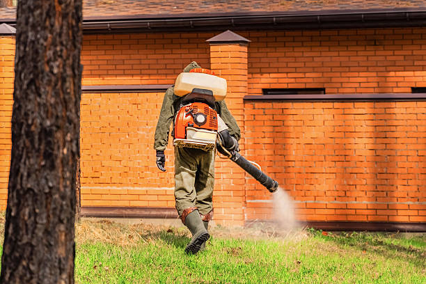 Bed Bug Clearance Verification and Documentation in Hettinger